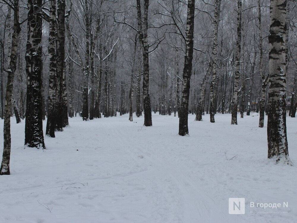 Похолодание до -10°С ожидается в Нижнем Новгороде на этой неделе