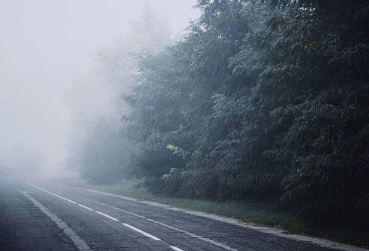 В первый день весны в Ленобласти ожидается небольшой туман