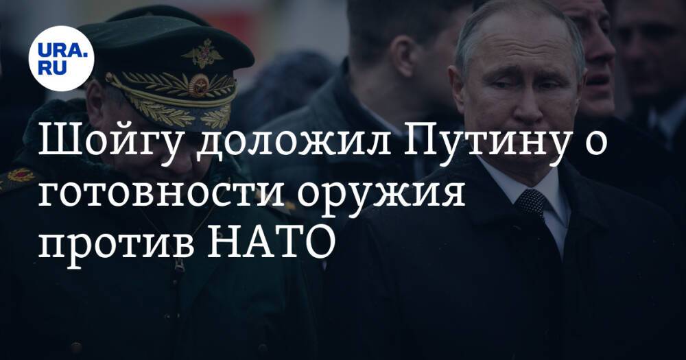 Шойгу доложил Путину о готовности оружия против НАТО