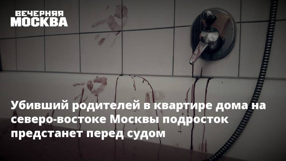 Убивший родителей в квартире дома на северо-востоке Москвы подросток предстанет перед судом