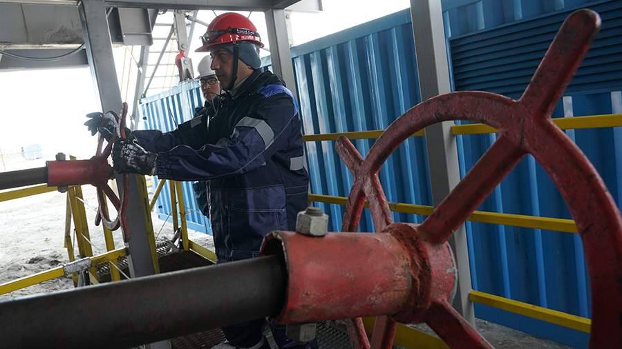 Эксперт назвал последствия для ЕС в случае отказа от российского газа