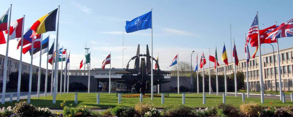 Политик Бьюкенен предложил исключить из НАТО ряд стран, чтобы «не злить Россию»