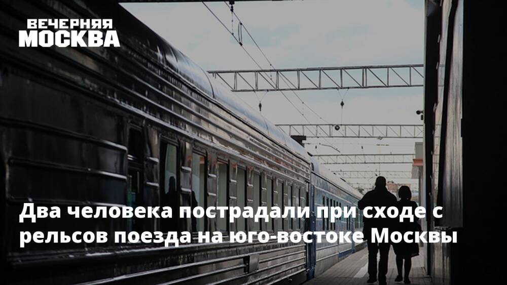 Два человека пострадали при сходе с рельсов поезда на юго-востоке Москвы