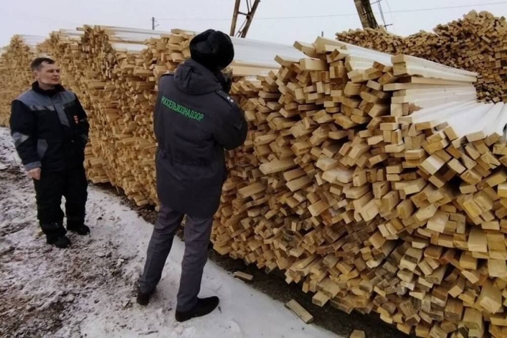 За январь из Бурятии вывезли 24000 «кубов» леса в Китай и Монголию