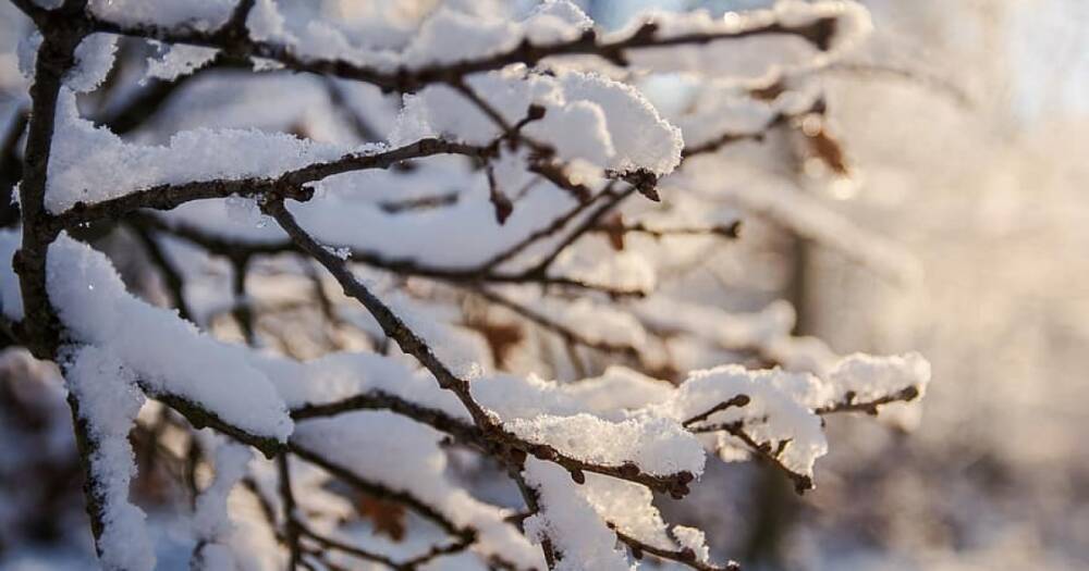 Погода в Украине на 3 февраля: Мокрый снег, местами гололед