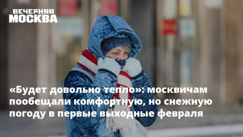 «Будет довольно тепло»: москвичам пообещали комфортную, но снежную погоду в первые выходные февраля