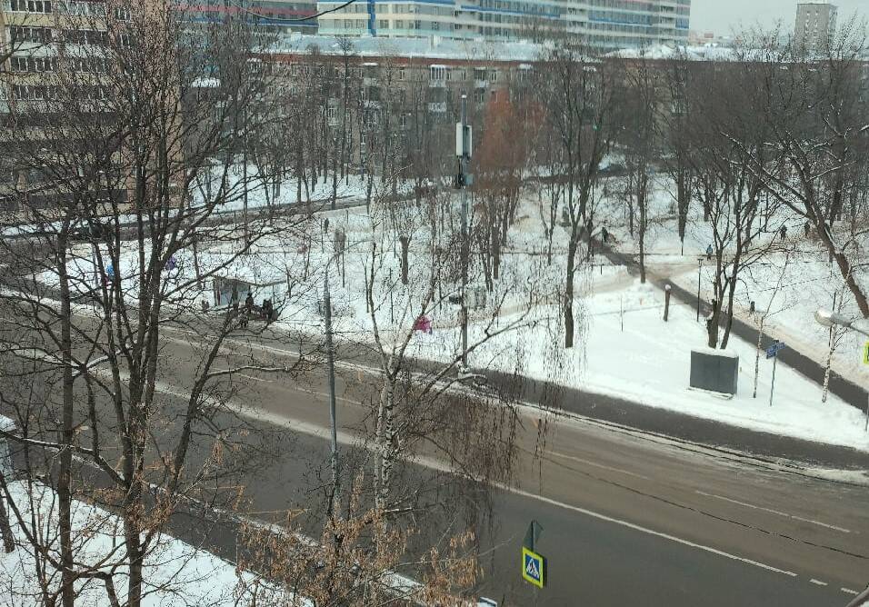 На второй неделе февраля в Москву придёт весенняя погода - Русская семерка
