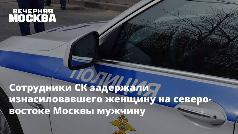 Полиция задержала изнасиловавшего женщину на северо-востоке Москвы мужчину