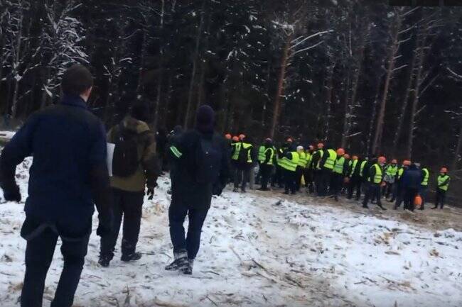 Противостояние в Троицком лесу: люди бросаются под пилы и экскаваторы