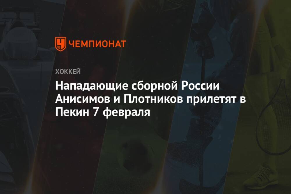 Нападающие сборной России Анисимов и Плотников прилетят в Пекин 7 февраля