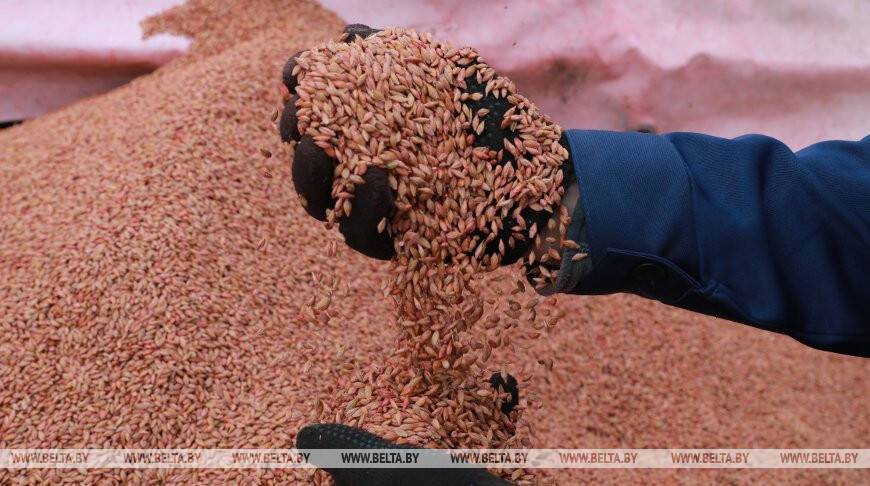 Минсельхозпрод определил заготовителей и объемы закупок сельхозпродукции для госнужд на 2022 год