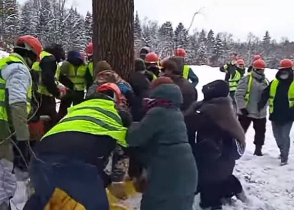 От Собянина и прокурора Москвы потребовали остановить избиения защитников Троицкого леса