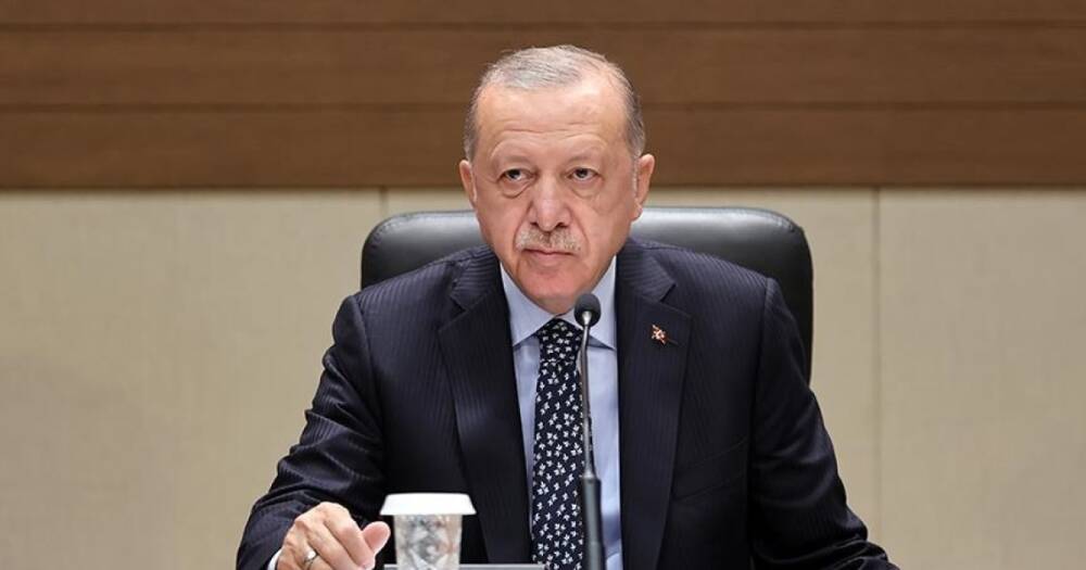 Эрдоган заявил, что Зеленский согласился на встречу с Путиным в Турции