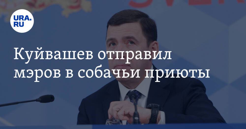 Куйвашев отправил мэров в собачьи приюты