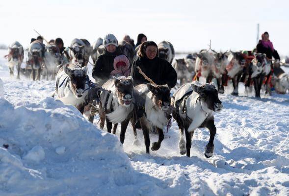 В России утвердили национальные стандарты туризма в Арктике