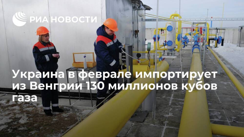 Глава Минэнерго Украины Галущенко заявил об импорте из Венгрии 130 миллионов кубов газа