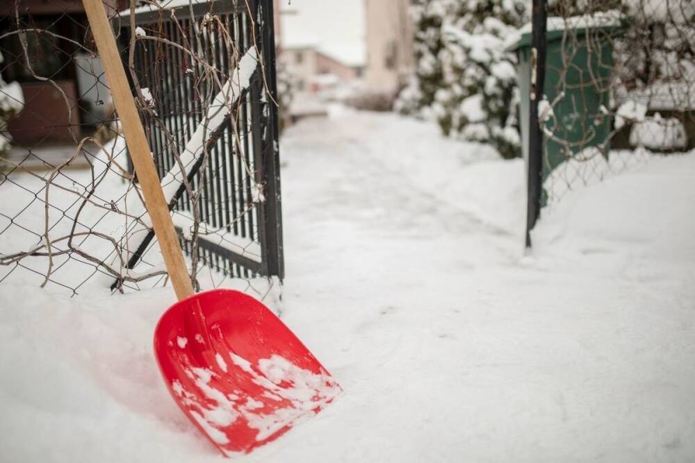 Вице-губернатор Ленобласти рассказала, как волонтеры «Команды заботы» помогают убирать снег