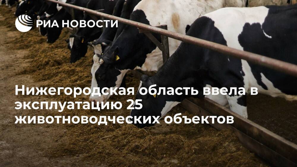 Нижегородская область ввела в эксплуатацию 25 животноводческих объектов в 2021 году