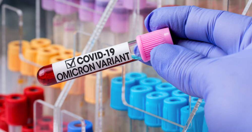 Стало известно, когда может будет не измерять уровень антител к COVID