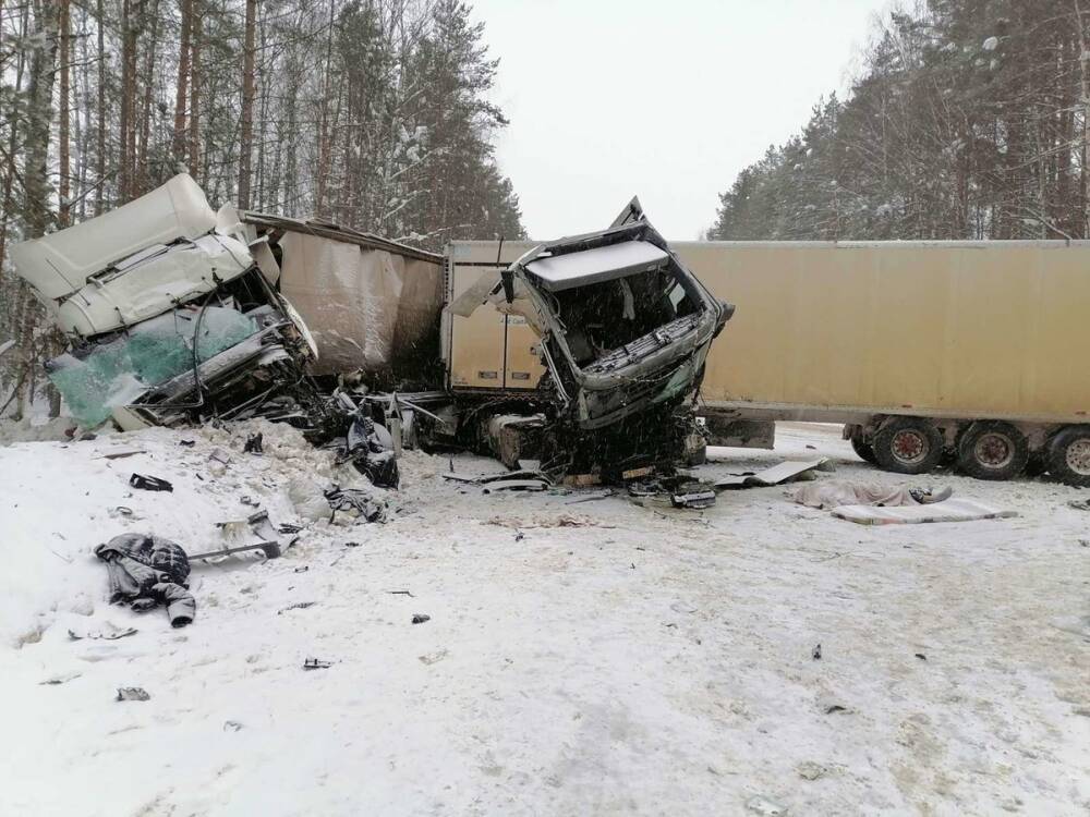 Мужчина погиб в столкновении двух большегрузов в Нижегородской области