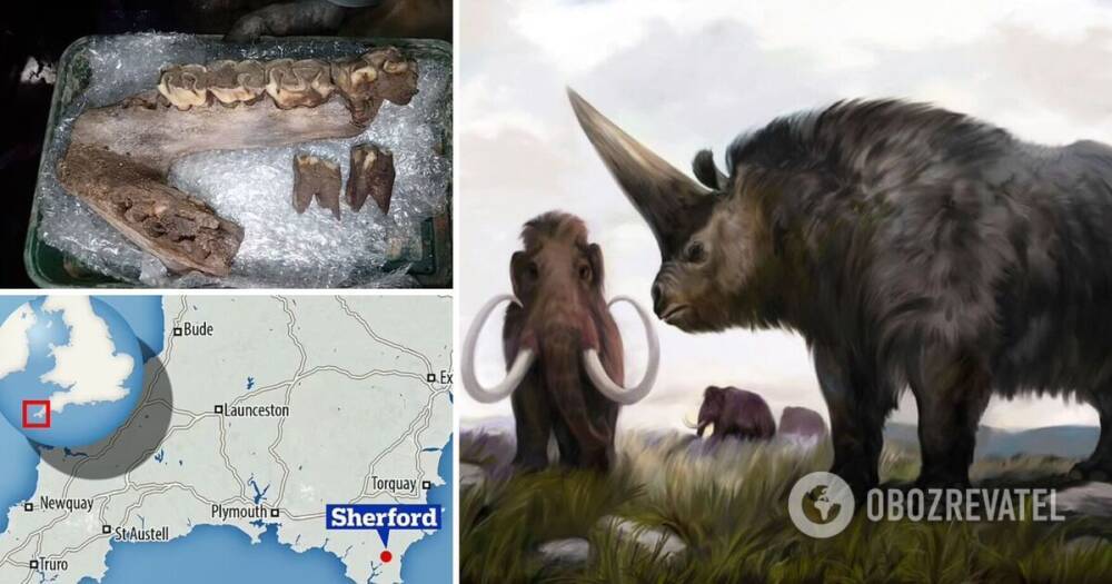 Мамонта и древнего носорога нашли в Британии – фото – ледниковый период