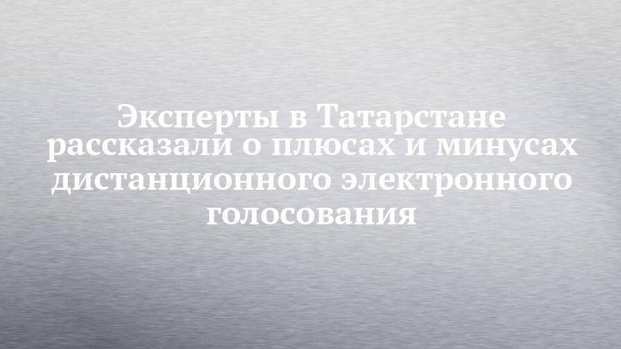 Эксперты в Татарстане рассказали о плюсах и минусах дистанционного электронного голосования