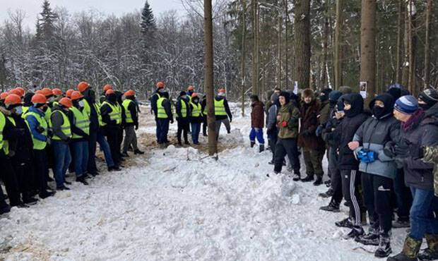 Защитники Троицкого леса пожаловались президенту на мэра Москвы