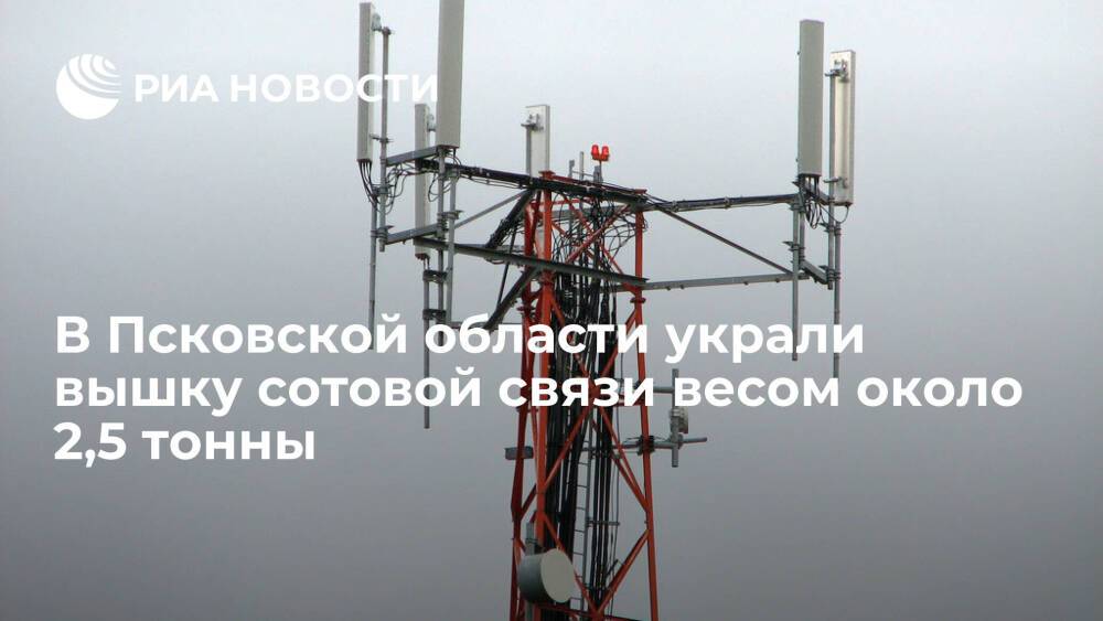 Вышку сотовой связи весом около 2,5 тонны украли в деревне в Псковской области