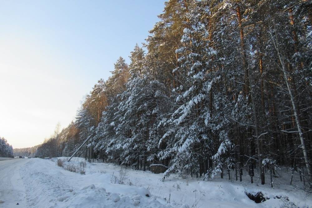 Умеренные холода вернулись в Свердловскую область