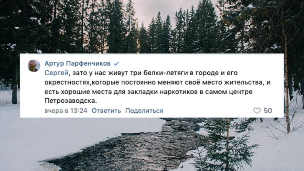 «Хорошие места для закладок». Парфенчиков резко ответил активистам, защищающим Курган в Петрозаводске