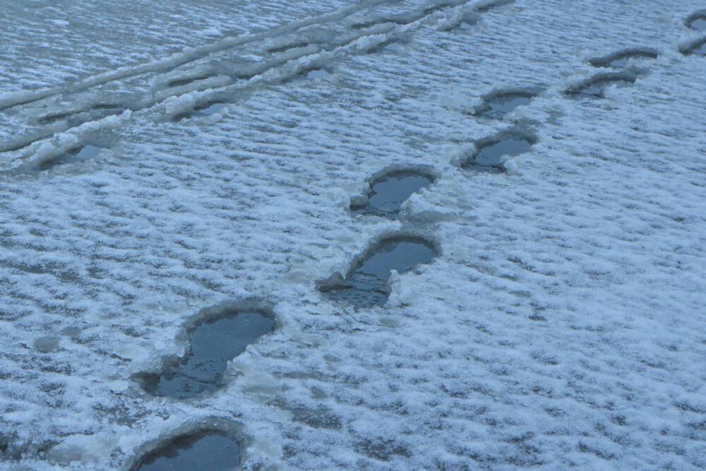 Мокрый снег ожидается в Новгородской области во вторник