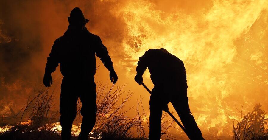 Пожары в Австралии уничтожили более 60 тысяч гектаров леса