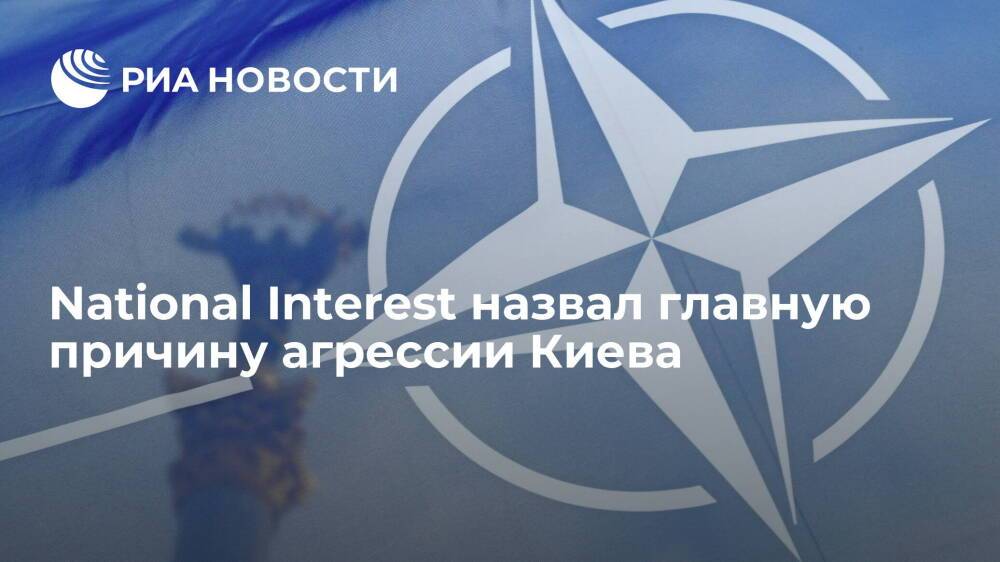 National Interest назвал НАТО главной причиной агрессии Украины по отношению к России