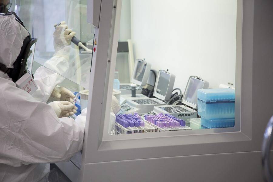 В Новосибирске коронавирус подтверждается у каждого десятого сдавшего ПЦР-тест