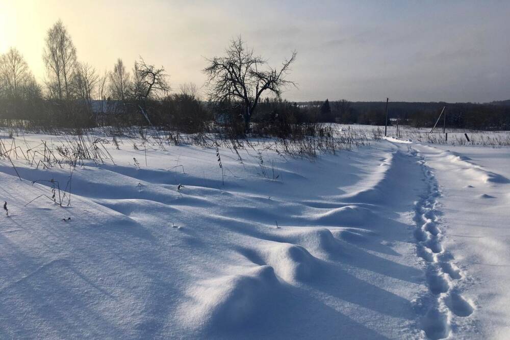 Около 20 сантиметров составляет толщина льда в Смоленской области к 7 февраля