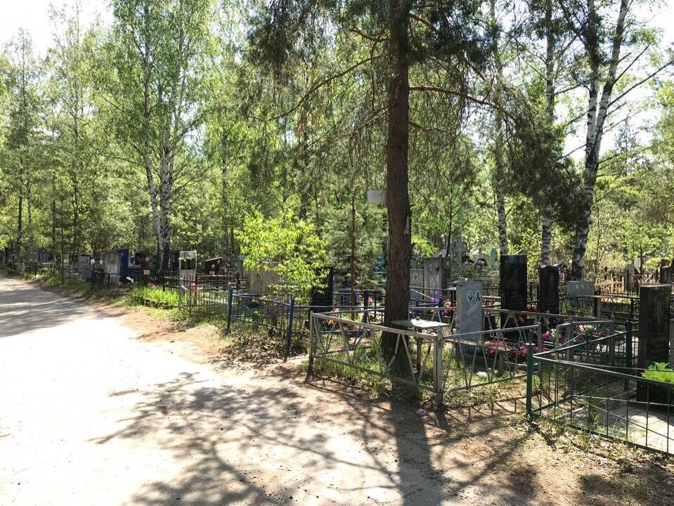 Погребение через госуслуги и частные кладбища: госдума рассматривает закон о «похоронном деле»