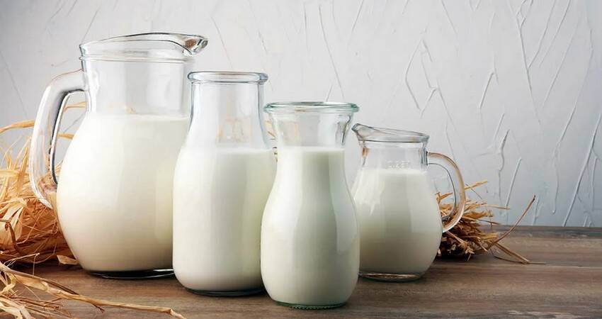 Гродненский район первым в стране надоил за прошлый год от коровы более 9 тыс. кг молока