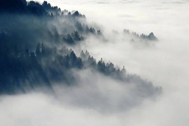 Главное управление МЧС предупреждает об усилении тумана