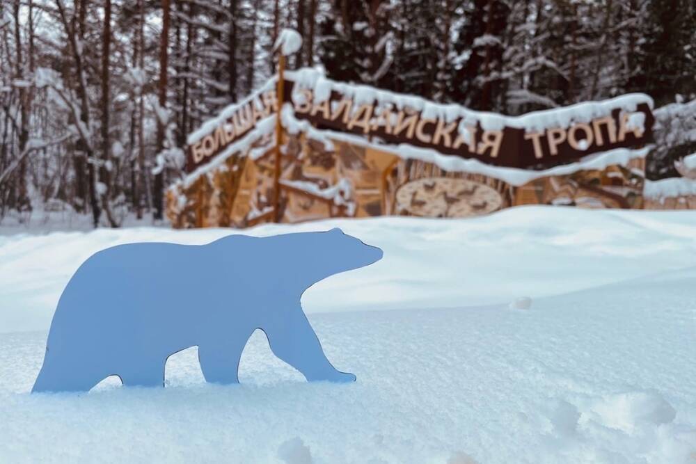 Национальный парк «Валдайский» запустил акцию «Пригласи белого медведя в гости»