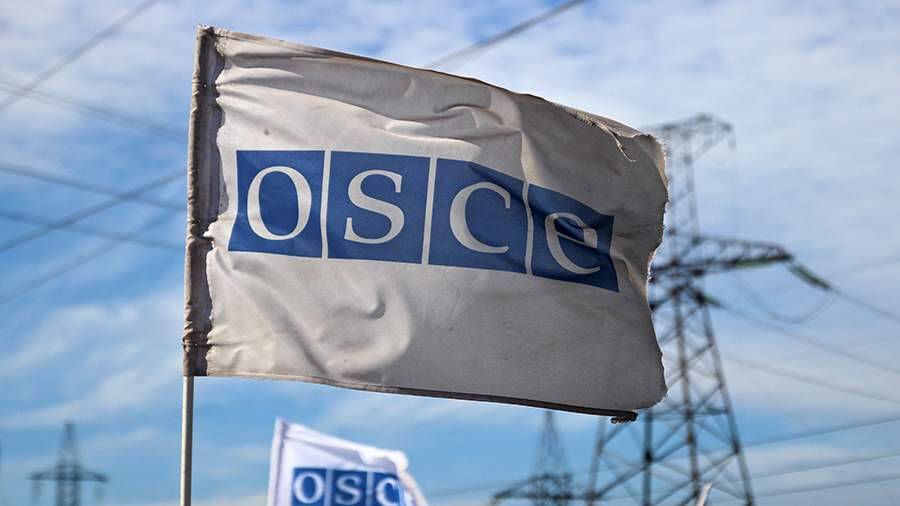 В СФ поставили под вопрос членство Польши в ОБСЕ после заявления о поставках оружия Киеву