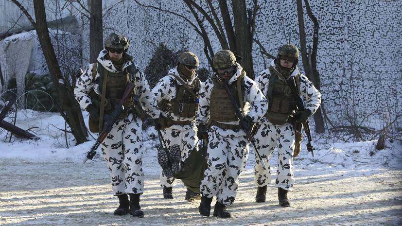 В ЛНР заявили, что британские спецназовцы прибудут в Донбасс для проведения диверсий