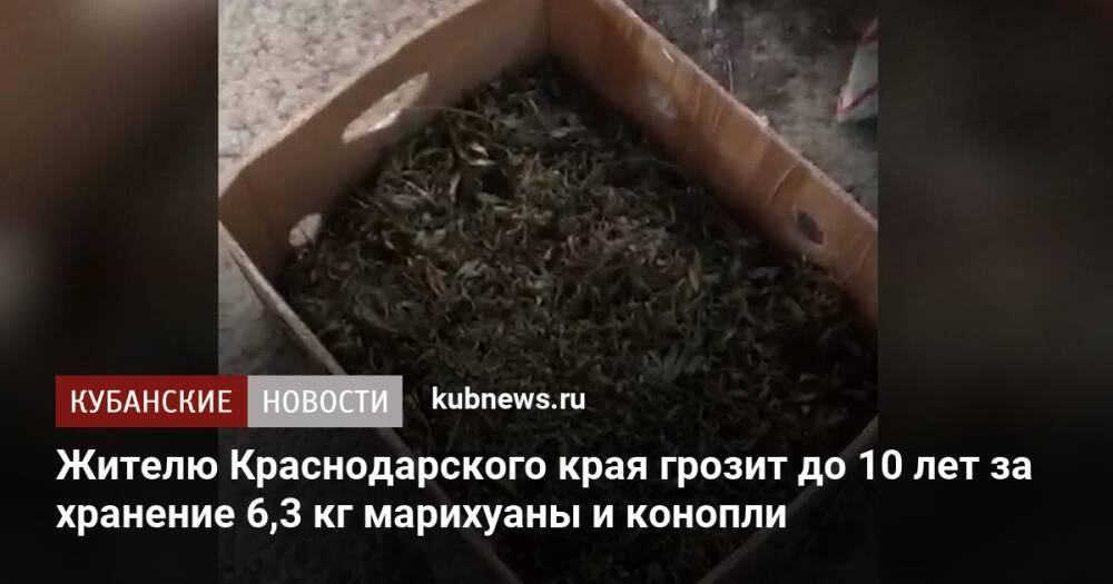 Жителю Краснодарского края грозит до 10 лет за хранение 6,3 кг марихуаны и конопли