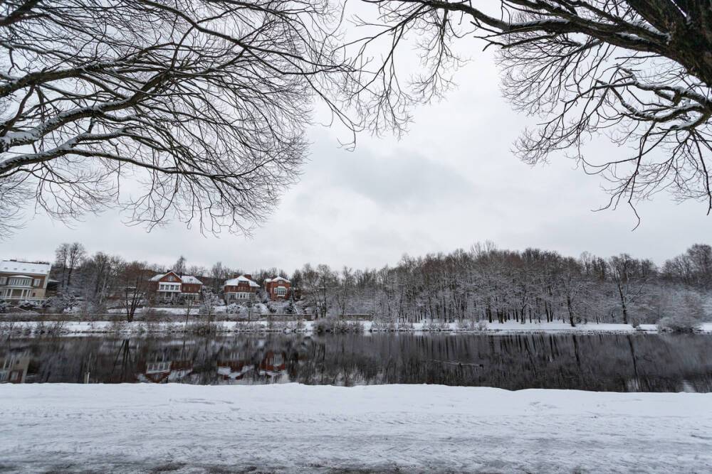 Мокрый снег прогнозируют в Псковской области 9 февраля