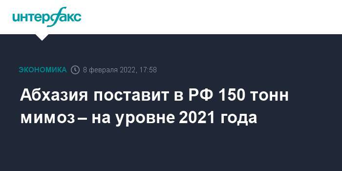 Абхазия поставит в РФ 150 тонн мимоз – на уровне 2021 года