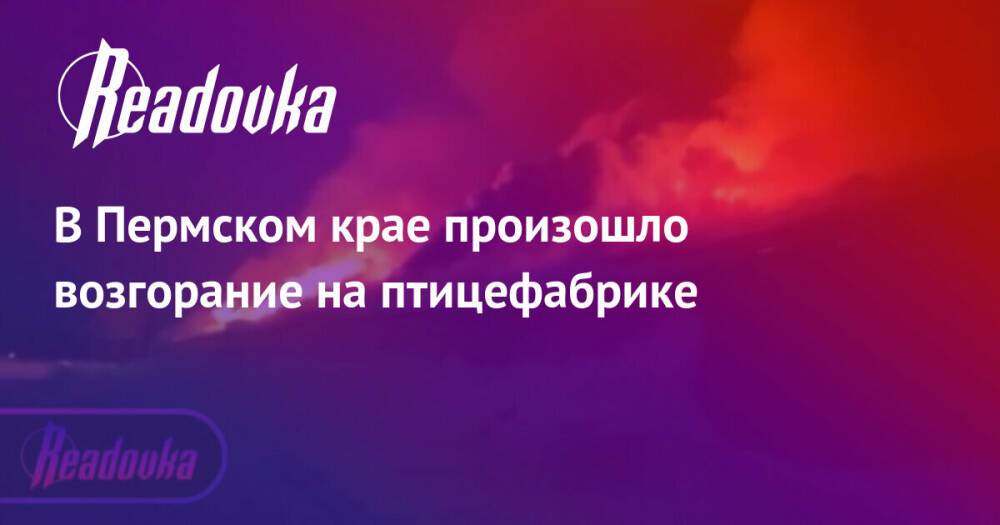 В Пермском крае произошло возгорание на птицефабрике