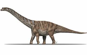 Ученые описали новый вид крупного динозавра