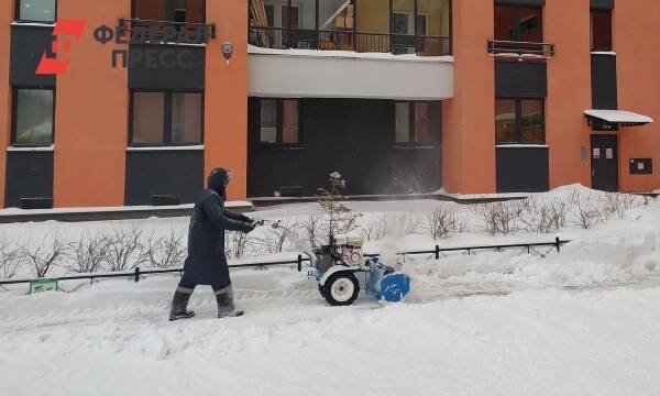 Некачественная уборка снега в Петербурге обернулась уголовными делами