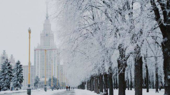 В Гидрометцентре рассказали о погоде в Москве 9 февраля