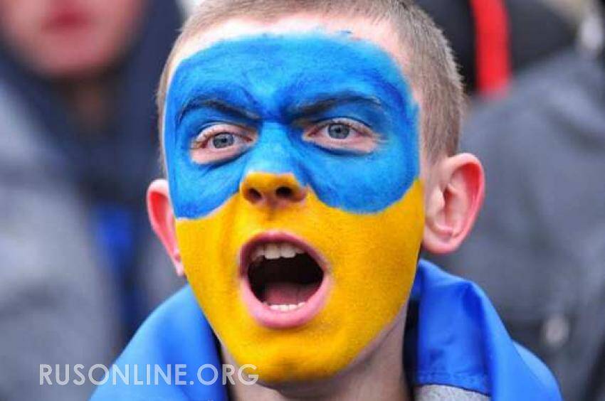 УЕФА расследует поведение украинских фанатов на матче со сборной России