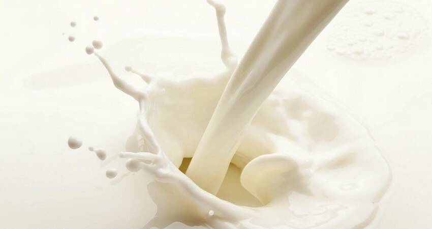К каким изменениям приведет остановка продаж сырого молока на БУТБ